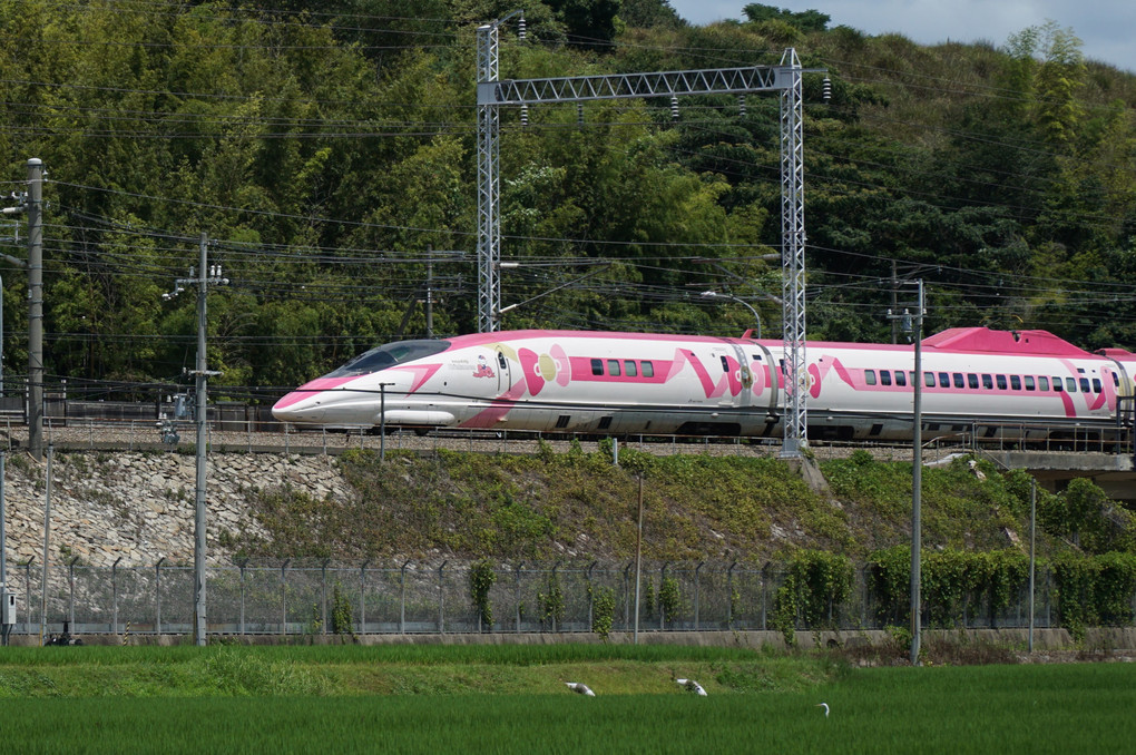 新幹線500系（ハローキティ新幹線）