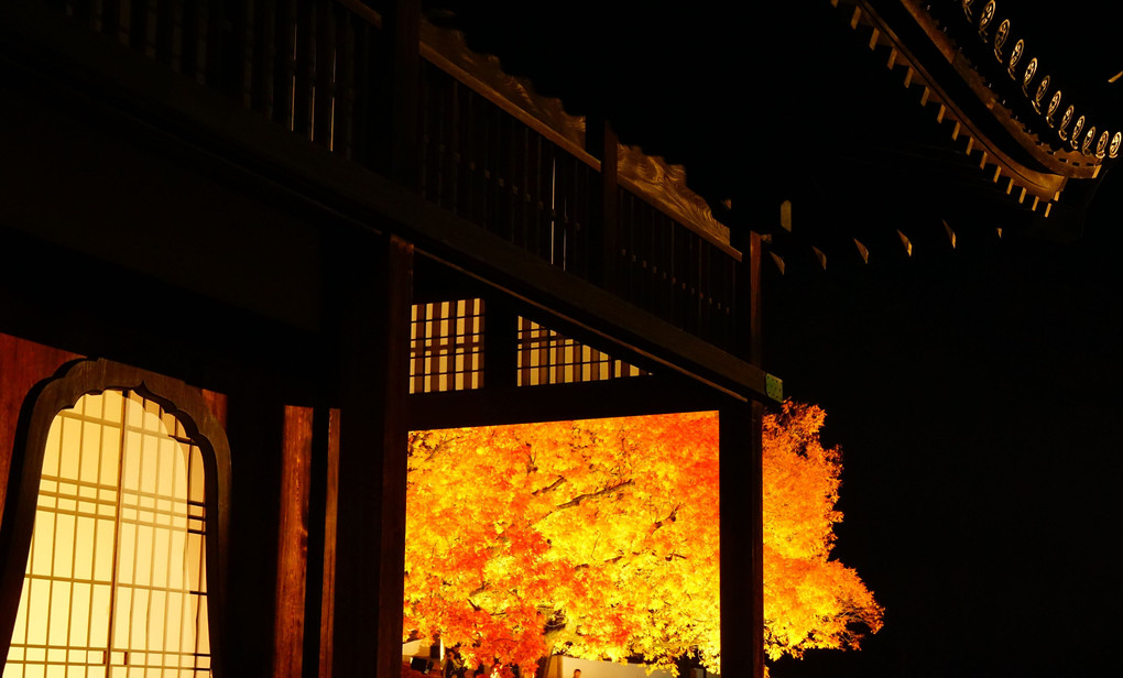 閑谷学校　紅葉ライトアップ