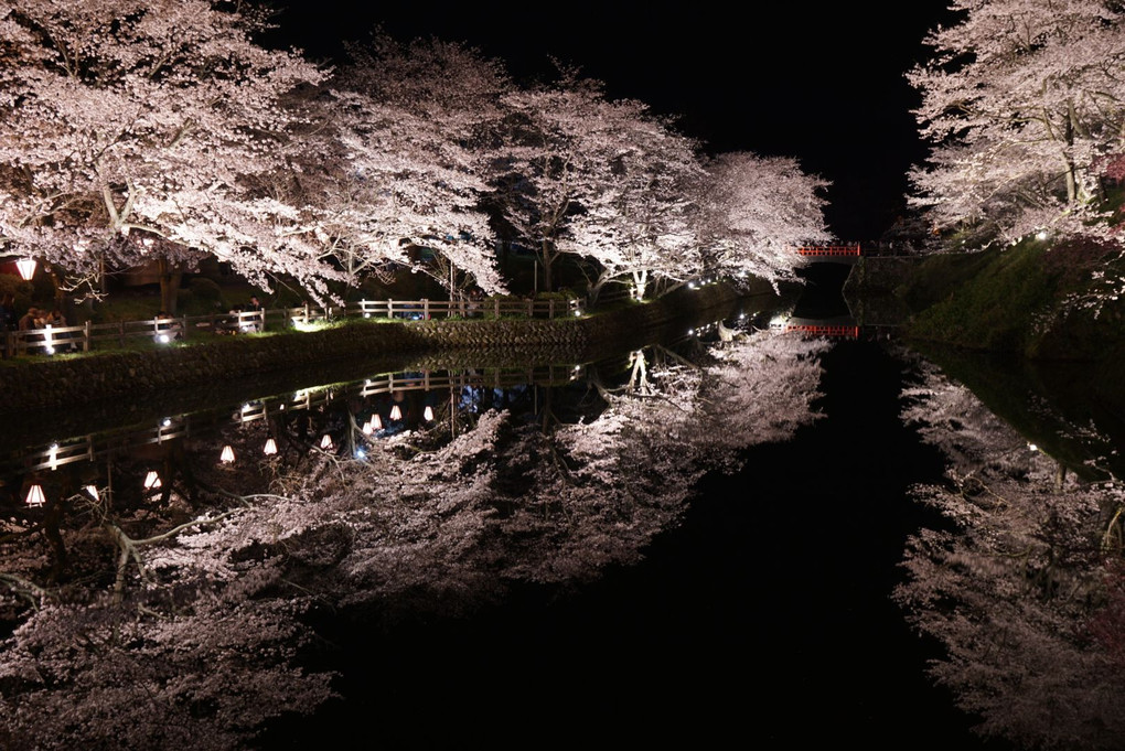 鹿野城跡桜公園の夜桜(ライトアップ)