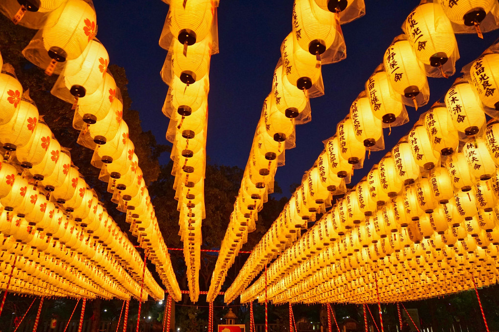 姫路護国神社　万灯祭