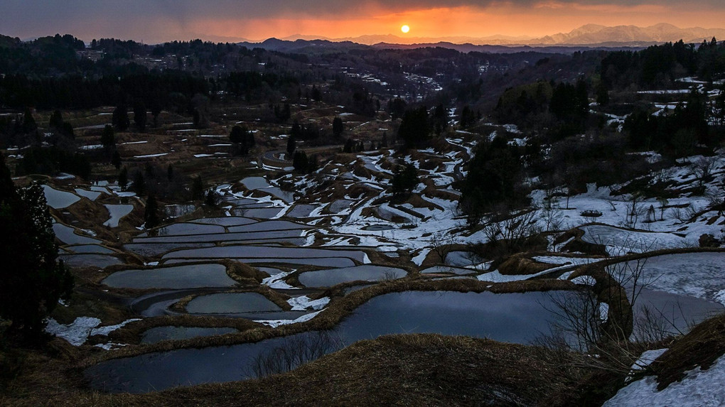 Dawn of rice terraces