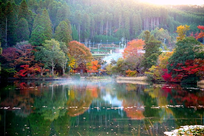 日本の美しい村星野・麻生池