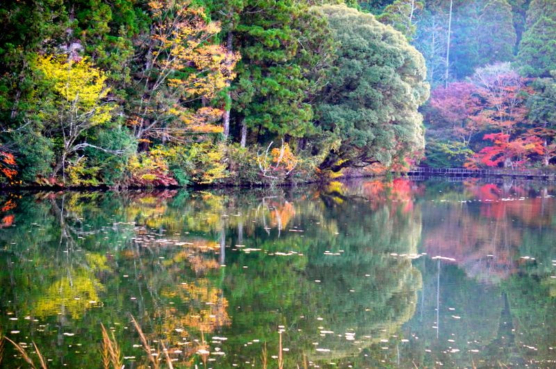 日本の美しい村星野・麻生池