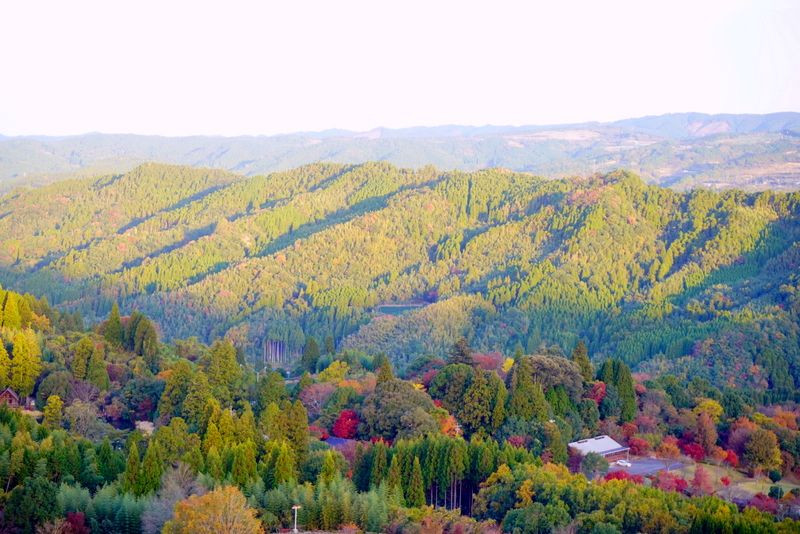 紅葉朝夕景・星野に会う