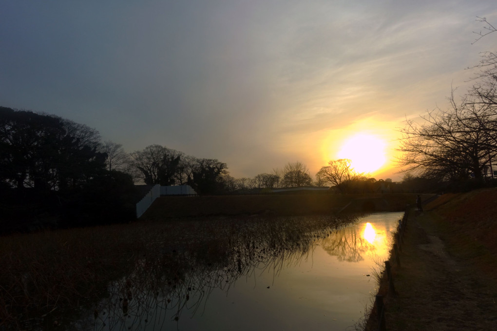 花粉光環・朧夕景