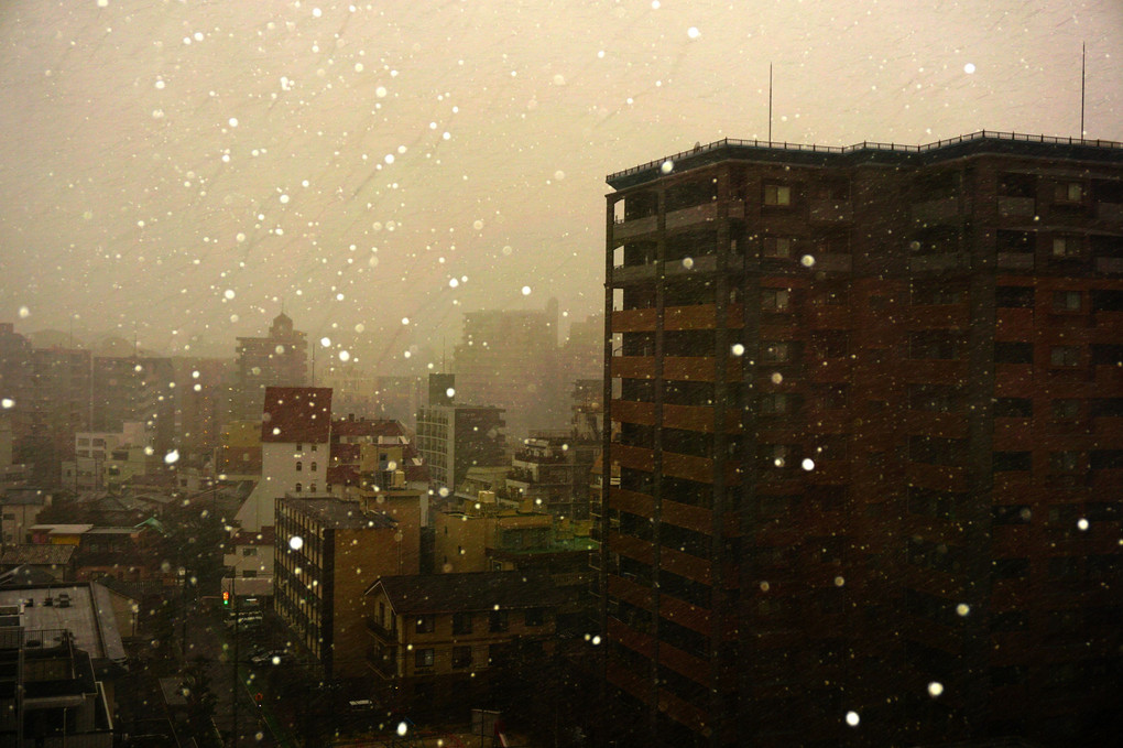博多の町にも雪が降る