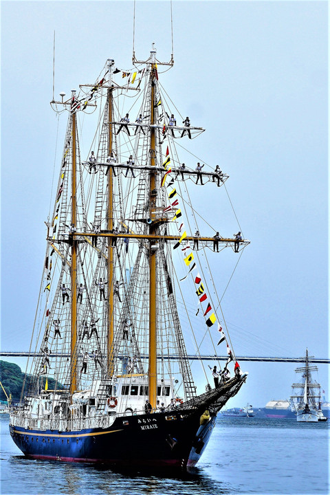 長崎帆船まつり入港式
