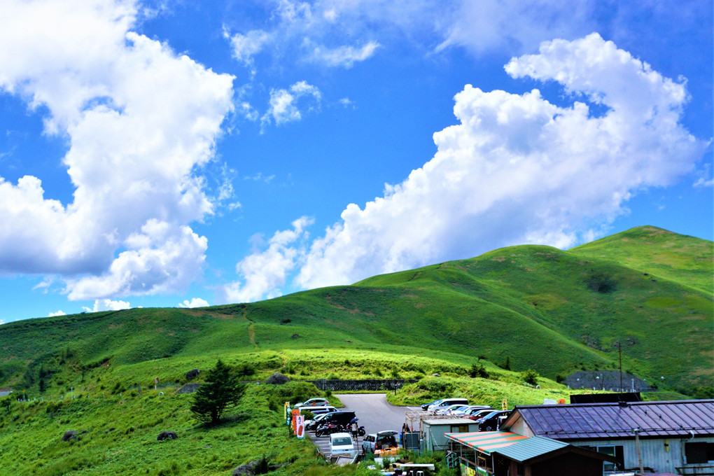 霧ヶ峰高原の夏