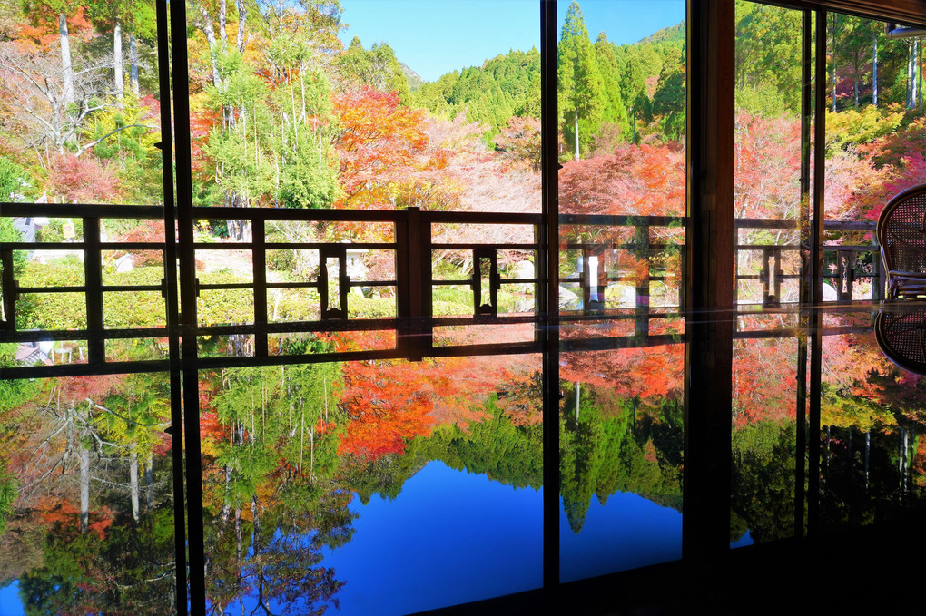 佐賀環境芸術の森