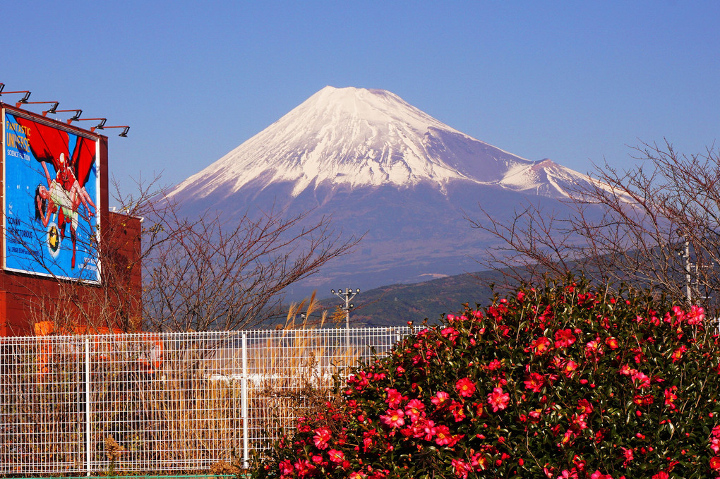 Mt. Fuji 諸々