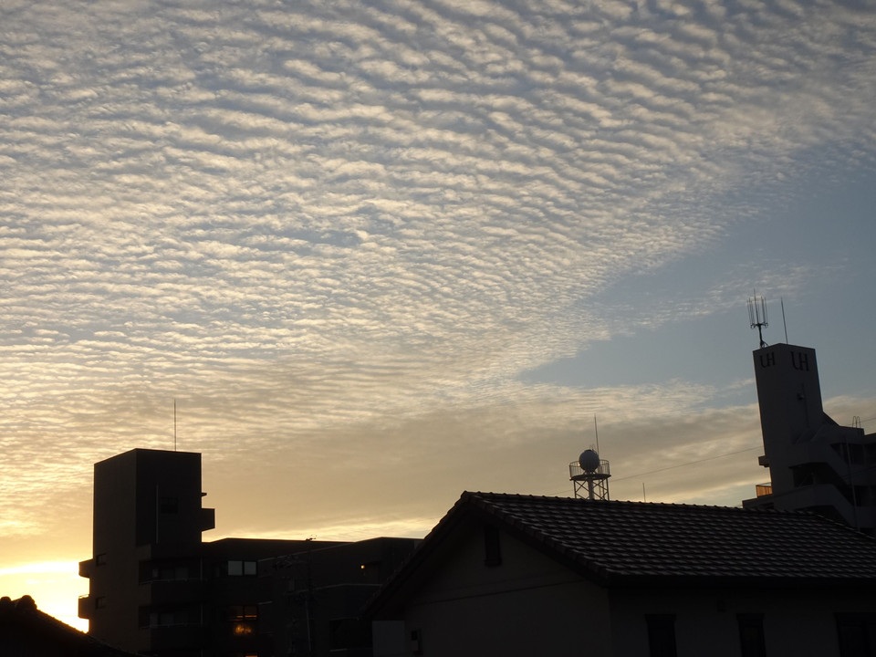 Autumn Morning Cloud