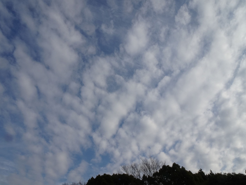 Strange Winter Cloud # 2