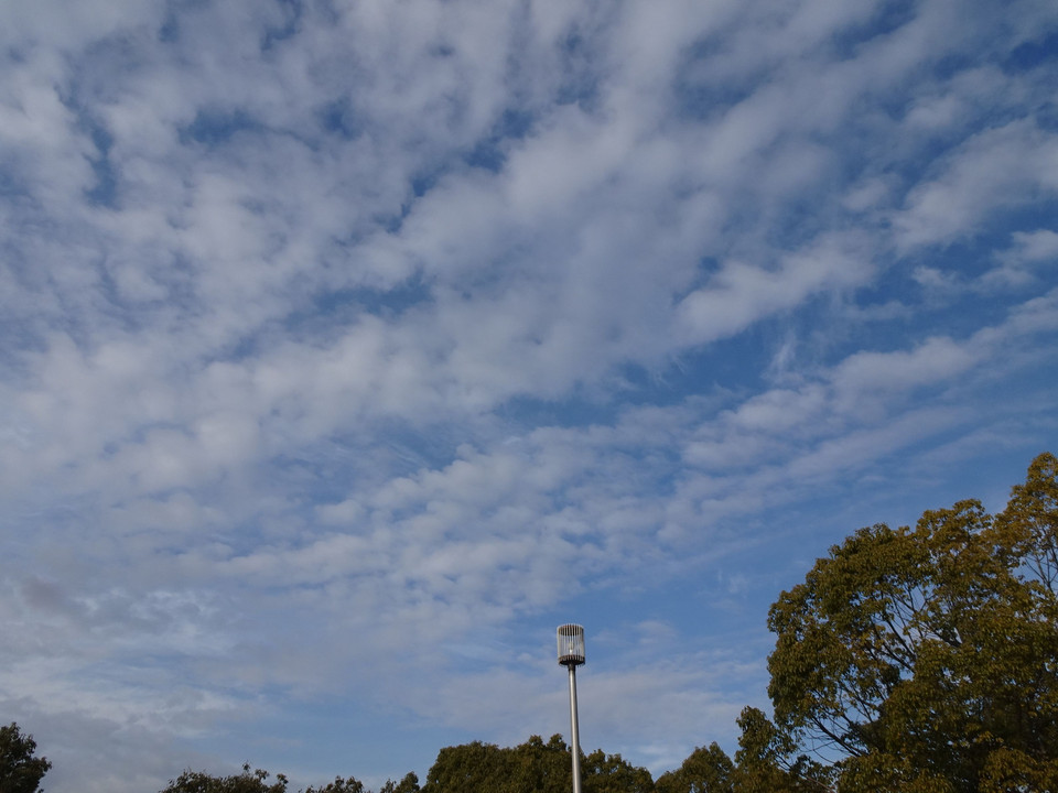 Strange Winter Cloud # 2