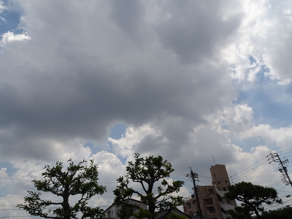 Summer 　Cloud