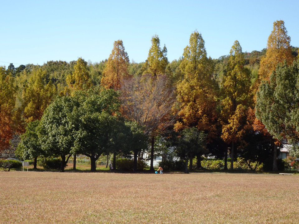 Autumn Park #2