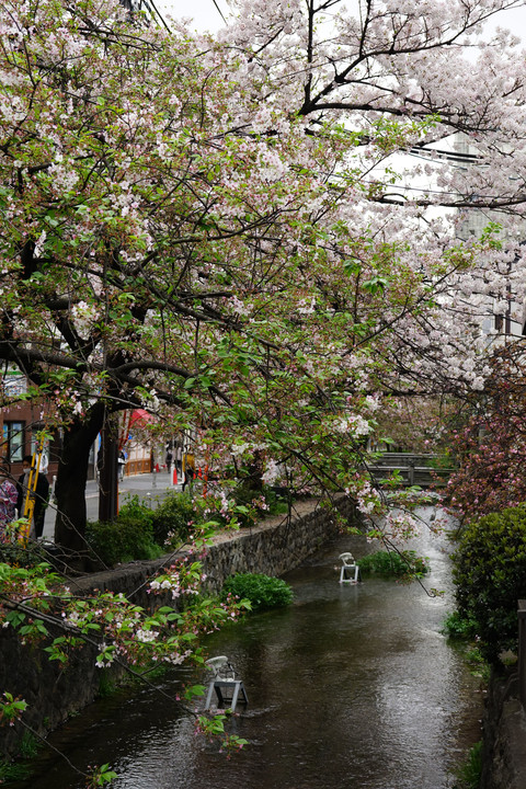 京都・鴨川界隈