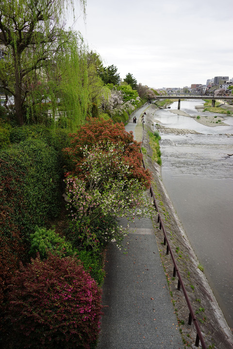 京都・鴨川界隈