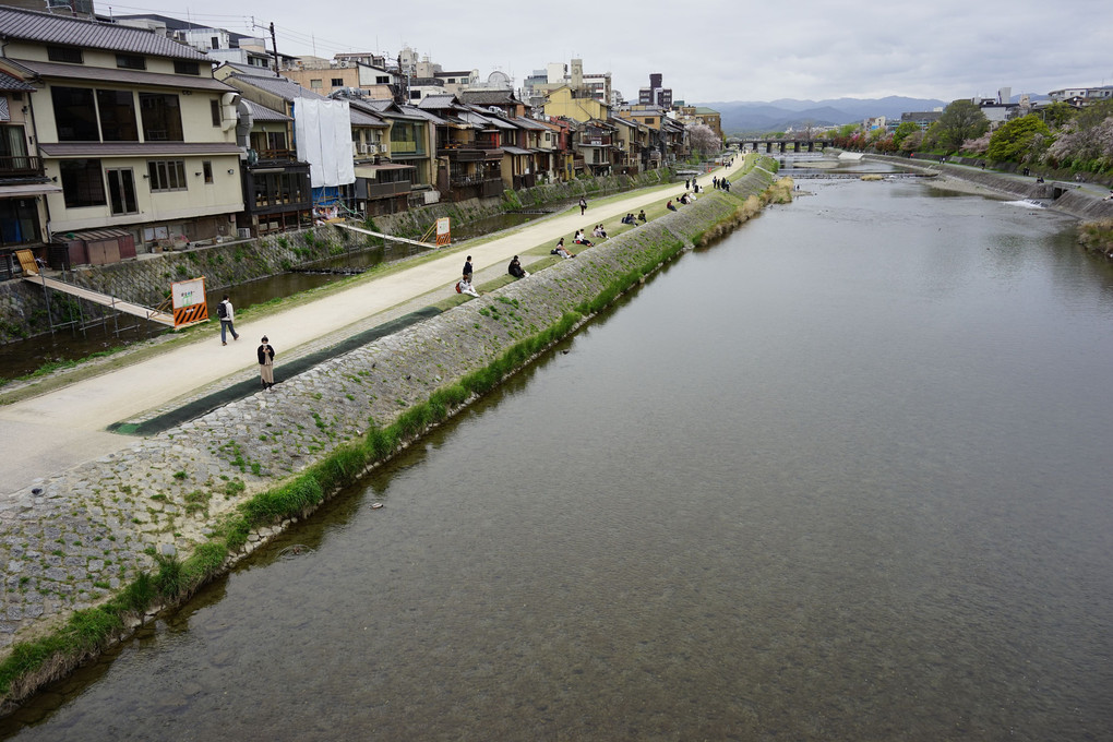 京都・鴨川界隈