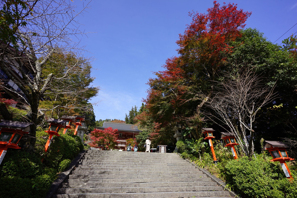 鞍馬寺の紅葉