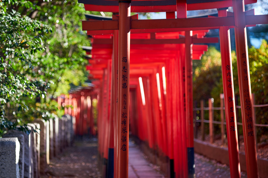 千本鳥居