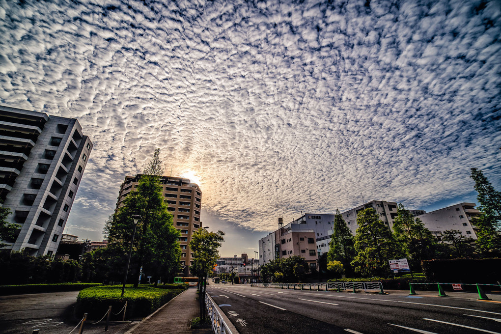 鱗雲、乱舞