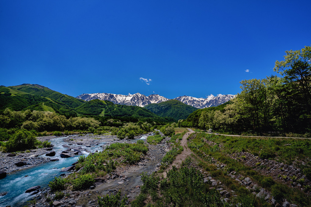 初夏の山容