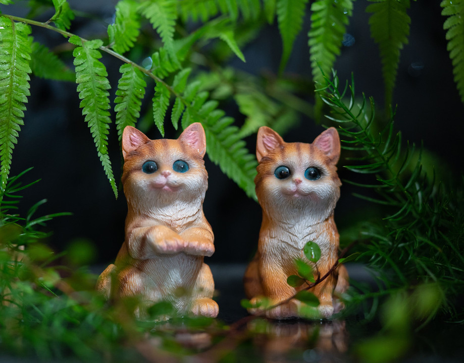 森の猫たち