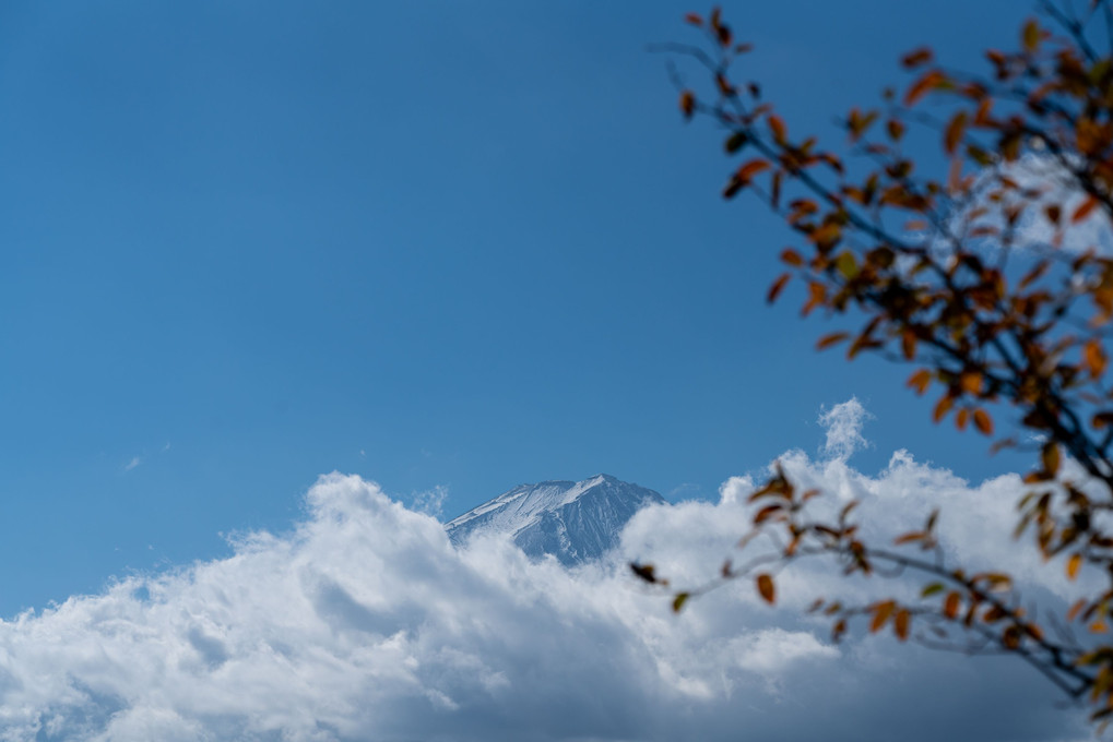 気になる　富士山の雲
