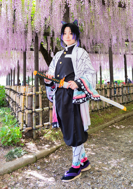 騎西藤まつり Mamanさん Acafe Aの写真投稿サイト ソニー 騎西藤まつり Mamanさん Acafe Aの写真投稿サイト ソニー