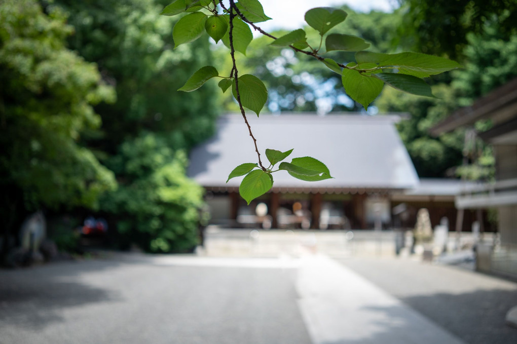 乃木神社