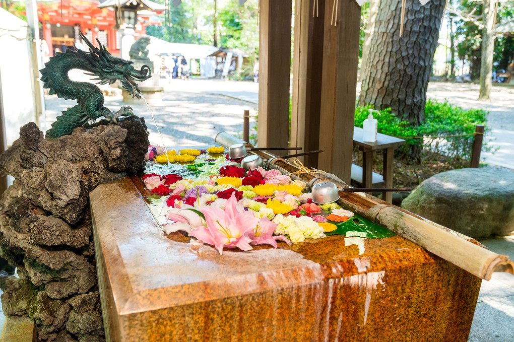 世田谷八幡宮様