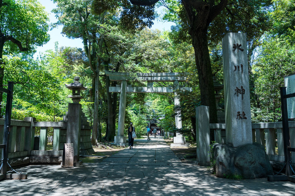 赤坂氷川神社様