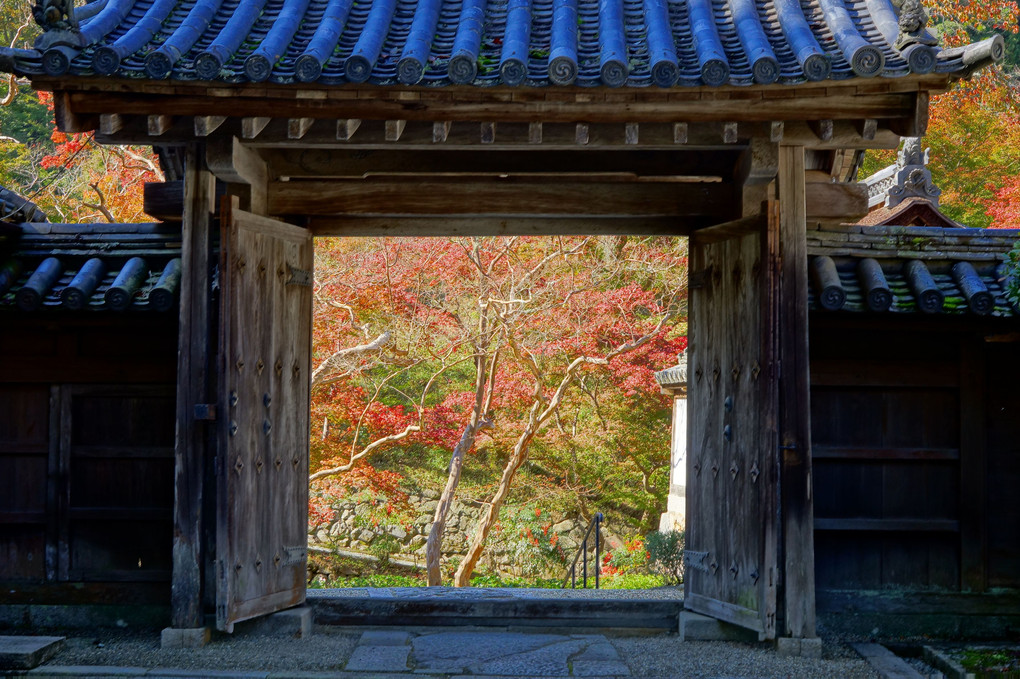 秋のささやき－奈良・正暦寺にて－