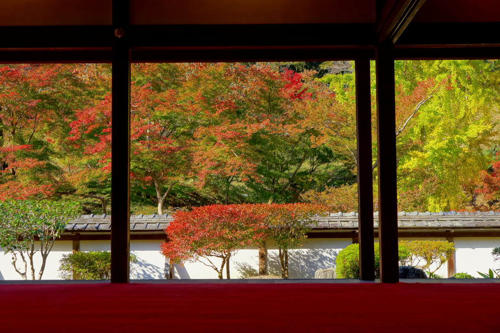 秋のささやき－奈良・正暦寺にて－