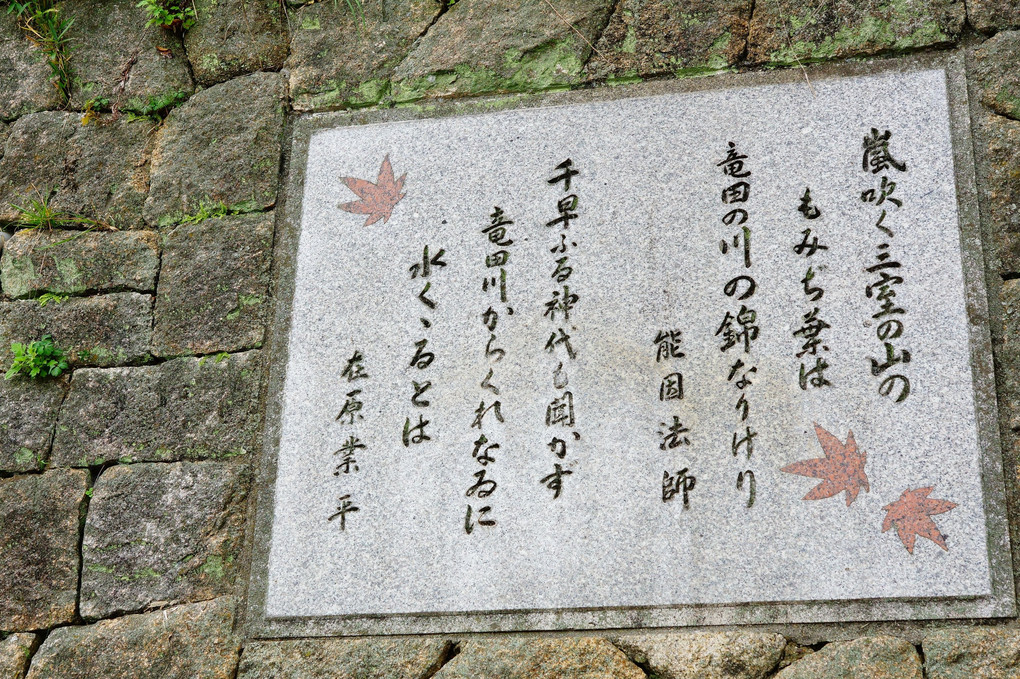 ちはやふる－奈良斑鳩・龍田川の紅葉－
