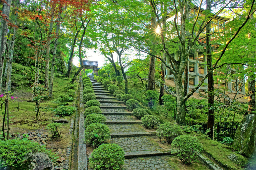 目に青葉－新緑の奈良･霊山寺をゆく－