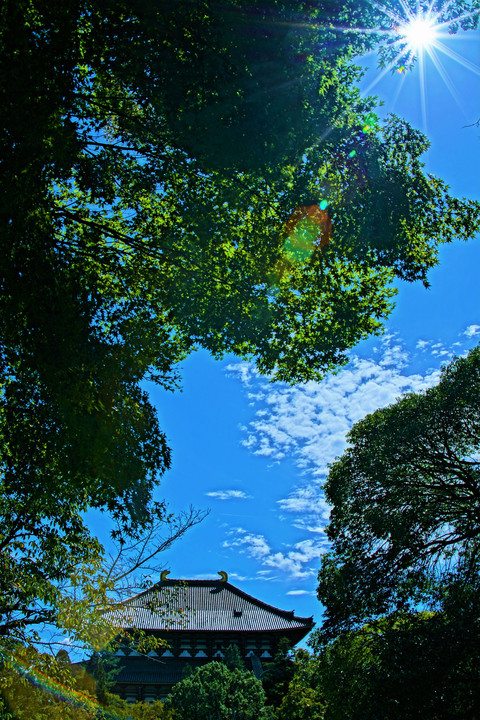 秋の奈良散歩 その１－転害門から東大寺へ－