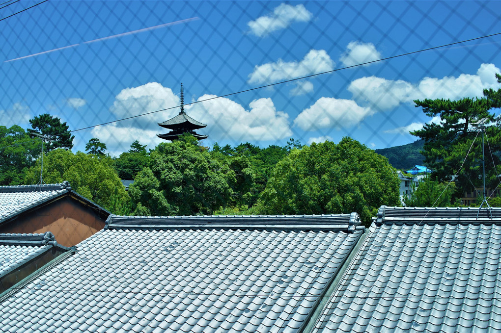 ガラス越しの夏・興福寺