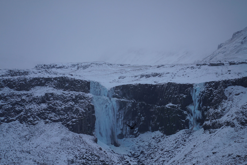 冬のアイスランド