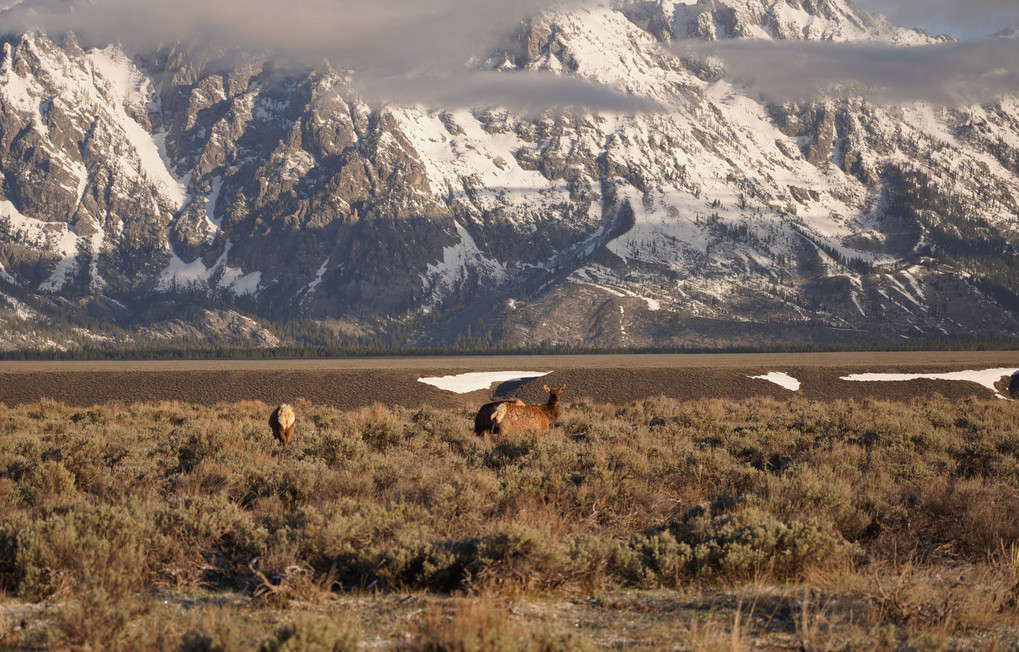 Grand Teton National Park