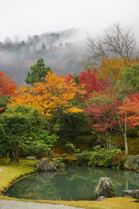 雨上がりの京都 天龍寺