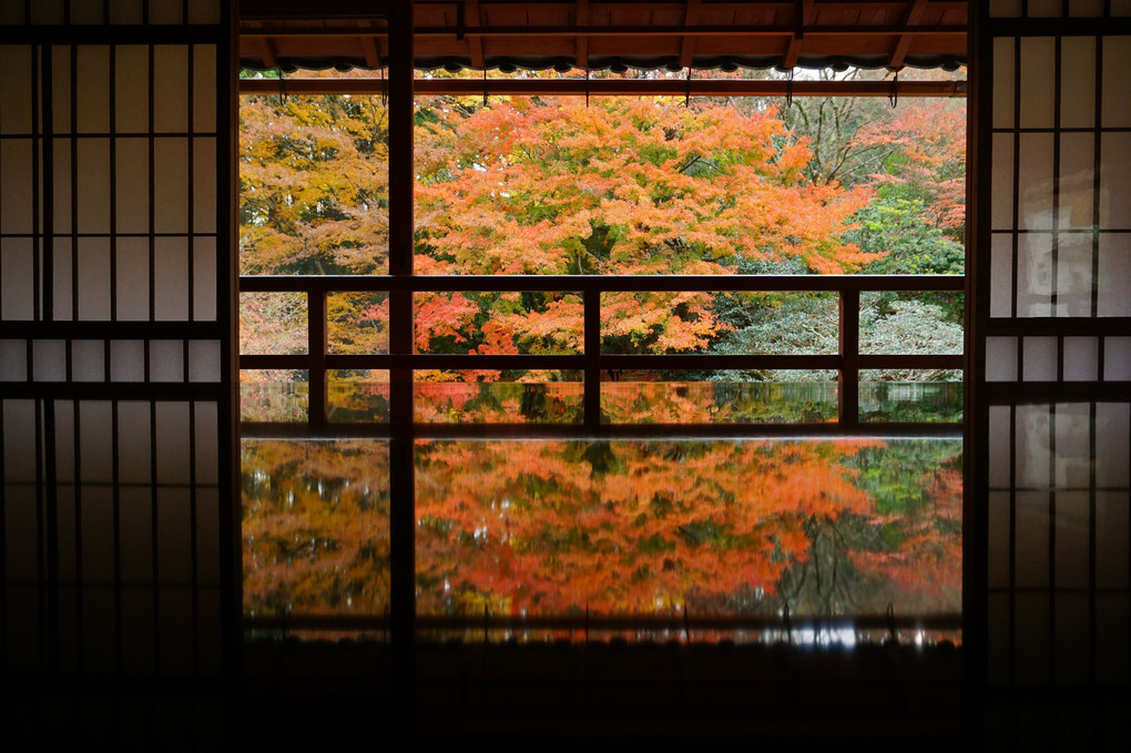 秋の京都・滋賀散策