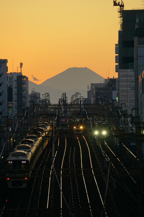 富士山と電車の夕景