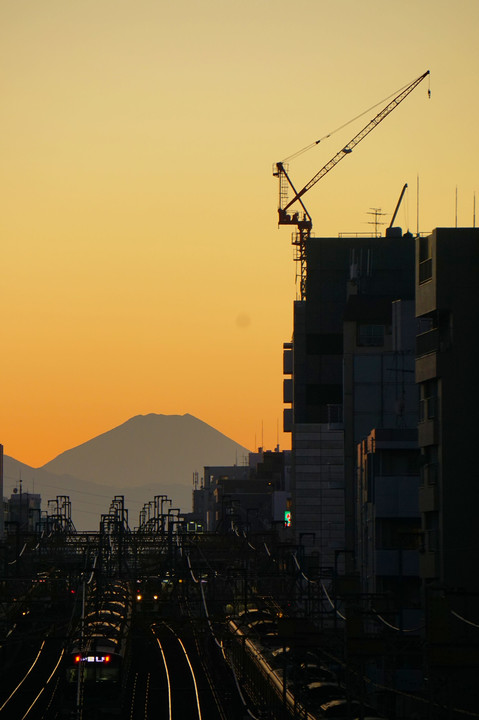 富士山と電車の夕景