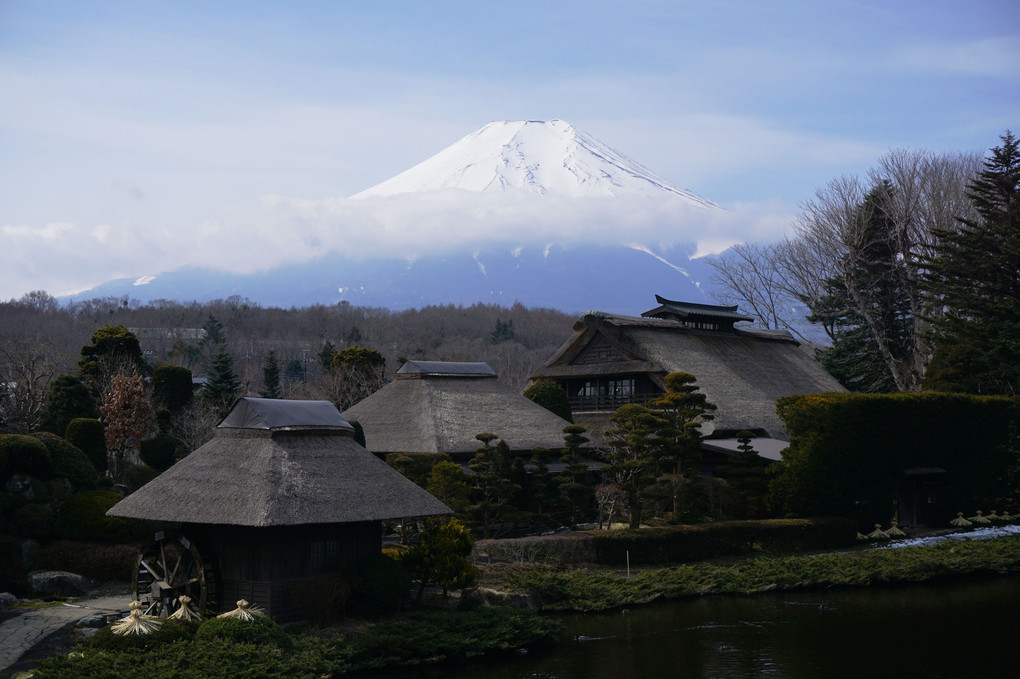 忍野八海と富士山