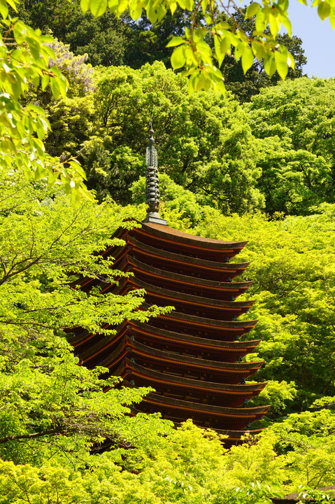 談山神社の十三重の塔