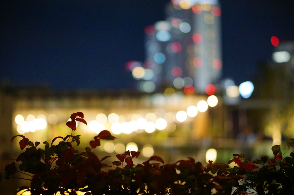 名古屋グローバルゲートからの夜景