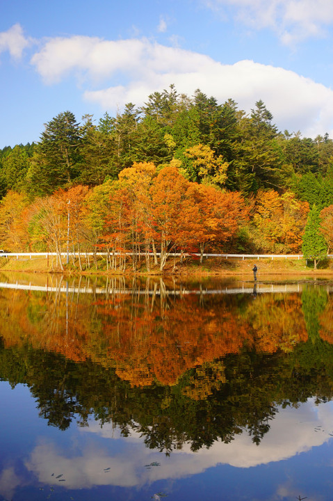 初秋の段戸湖