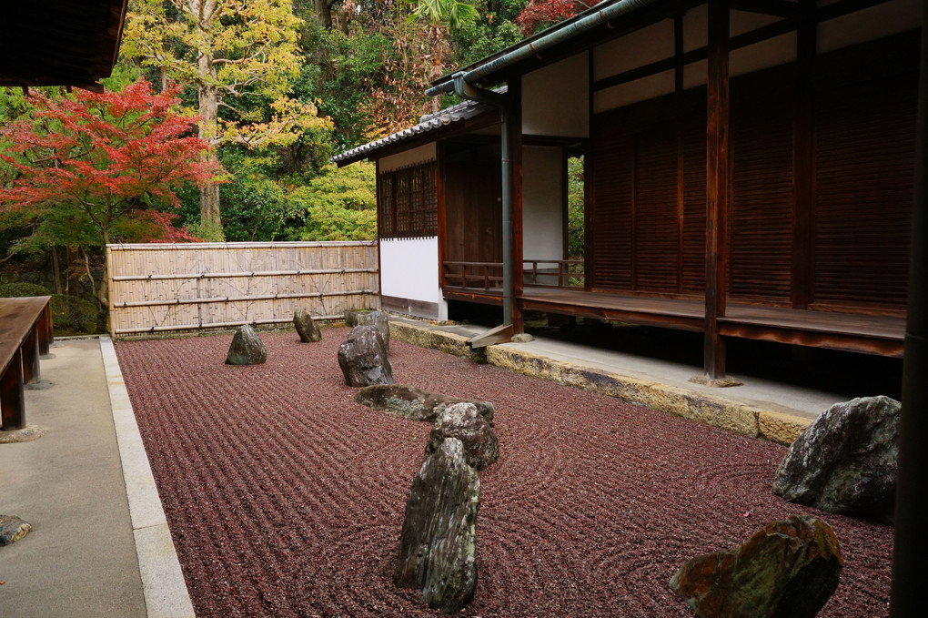 秋の京都散策　その２