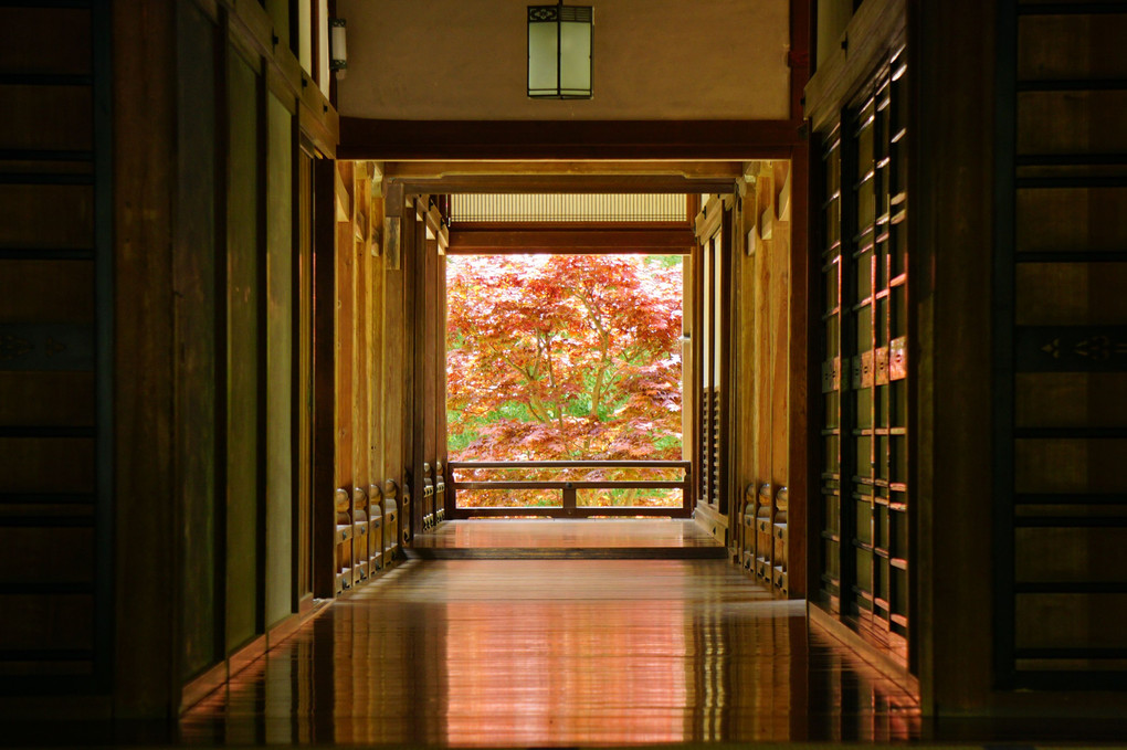 奈良の長谷寺